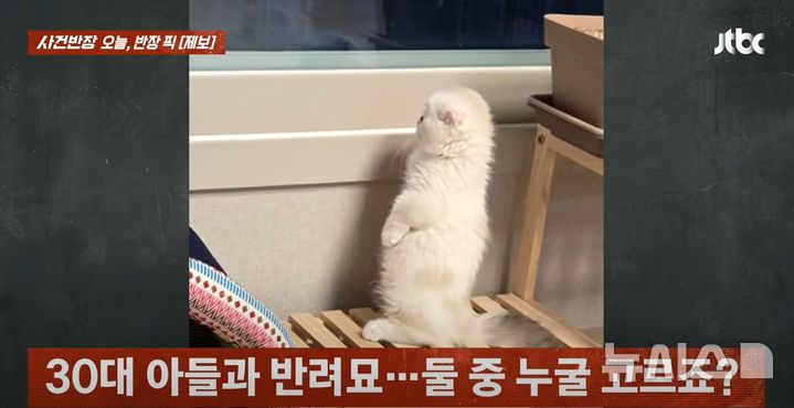 [서울=뉴시스] (사진=JTBC '사건반장' 캡처)