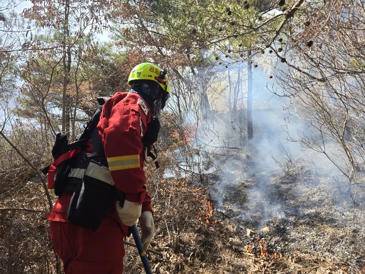 [대전=뉴시스] 산불 2단계가 발련된 경북 청도 산불의 진화모습.(사진=산림청 제공) *재판매 및 DB 금지