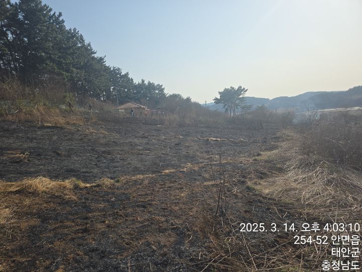 [태안=뉴시스] 14일 충남 태안군 안면읍 창기리 한 단독주택 뒷편에서 난 산불로 주변 지역이 탄 모습. (사진=독자 제공) 2025.03.14. photo@newsis.com *재판매 및 DB 금지