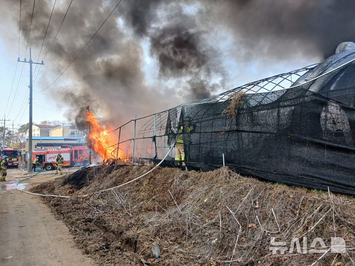 [인천=뉴시스] 14일 오후 인천 계양구 오류동 한 비닐하우스에서 불이 났다. (사진=인천소방본부 제공) 2025.03.14. photo@newsis.com *재판매 및 DB 금지