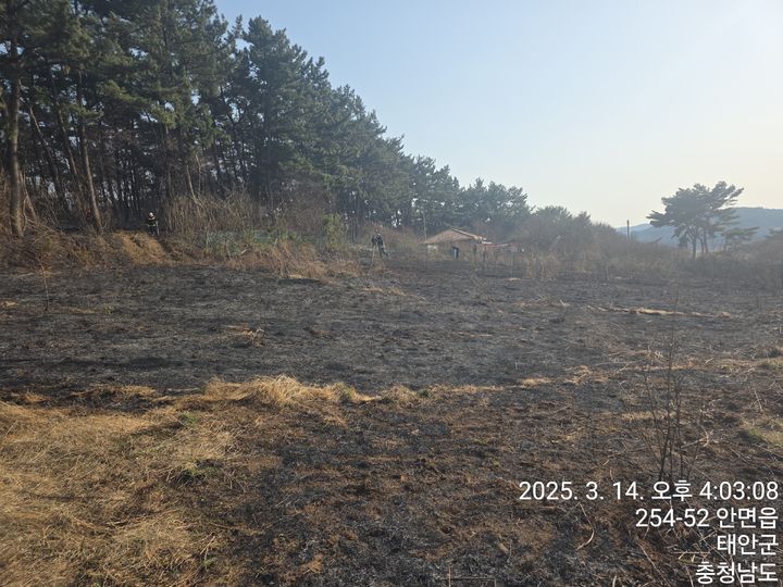 [태안=뉴시스] 지난 14일 소방대원 등이 충남 태안 안면읍 창기리에서 발생한 산불 잔불 진화를 하고 있다. (사진=독자 제공) 2025.03.15. photo@newsis.com *재판매 및 DB 금지