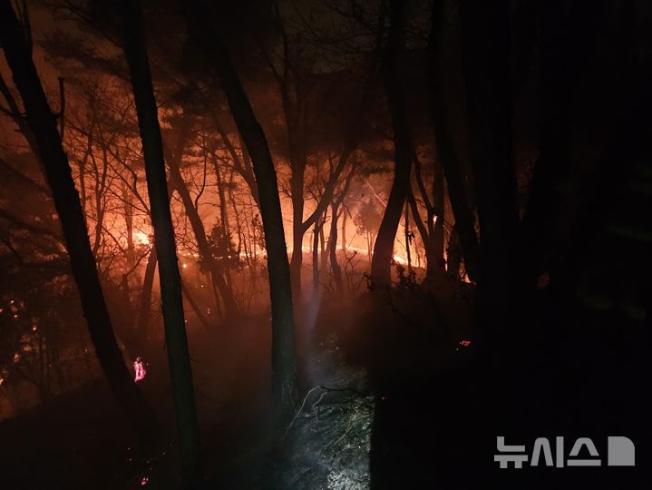 [양주=뉴시스] 산불 현장. (사진=경기도북부소방재난본부 제공) 2025.03.15 photo@newsis.com
