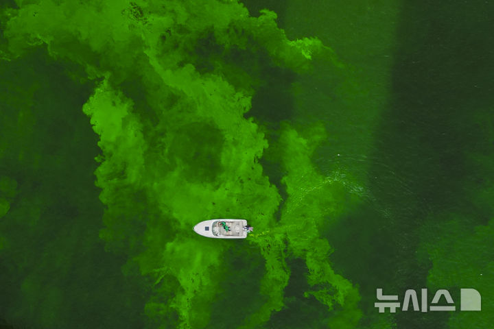 [시카고=AP/뉴시스] 15일(현지 시간) 미국 시카고 강이 성 패트릭의 날을 맞아 초록색으로 물들어 있다. 2025.03.18.