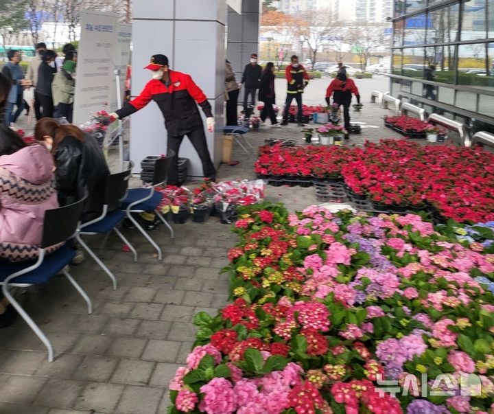 [용인=뉴시스]지난해 열린 나무 나누어주기 행사