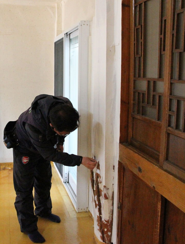 [서울=뉴시스] 목조건축 흰개미 피해 조사 (사진=국가유산청 제공) 2025.03.17. photo@newsis.com *재판매 및 DB 금지