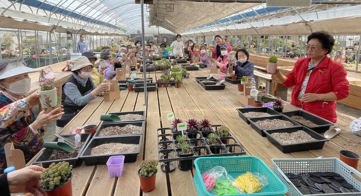 [계룡=뉴시스]계룡노인복지관이 정부가 실시한 사회복지시설평가에서 최우수 등급을 받았다. 노인복지관이 운영하는 다육이 만들기 프로그램. (사진=계룡시 제공) 2025. 03. 17 photo@newsis.com *재판매 및 DB 금지