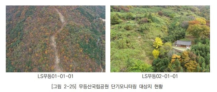 [광주=뉴시스] 무등산 산사태 훼손 복원지 모니터링 현황. (사진=국립공원연구원 제공) 2025.03.17. photo@newsis.com *재판매 및 DB 금지