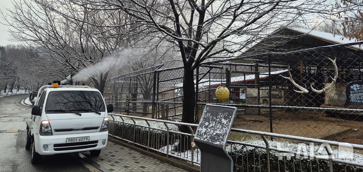 [전주=뉴시스] 김얼 기자 = 18일 전북 전주시 전주동물원에서 관계자들이 최근 발생한 구제역을 예방하기 위해 방역 활동을 하고 있다. 2025.03.18. pmkeul@newsis.com