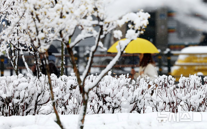 '연천 7.6㎝' 경기북부에 많은 눈…빙판길 주의