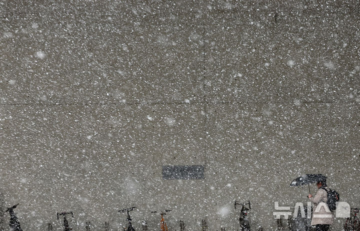 세종 전동 4.1㎝·소정 3.8㎝…대설주의보 속 펑펑