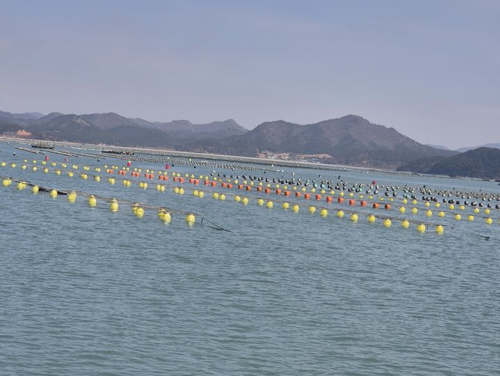 *재판매 및 DB 금지