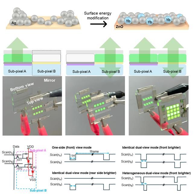 성균관대 연구진이 양면이 다르게 보이는 투명 OLED 디스플레이를 시연하는 데 성공했다. (사진=성균관대 제공) *재판매 및 DB 금지