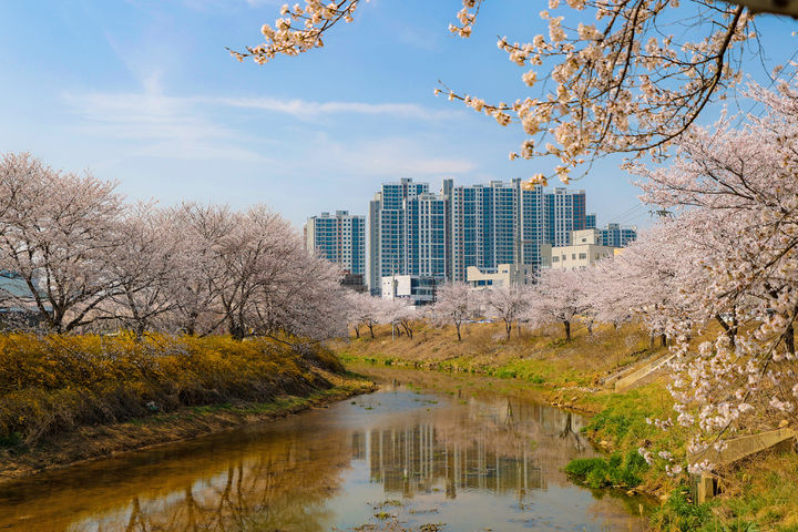 [당진=뉴시스] 당진천. (사진=당진시 제공) 2025.03.20. photo@newsis.com *재판매 및 DB 금지