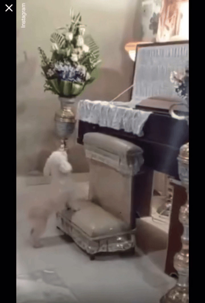 (사진=데일리메일) *재판매 및 DB 금지