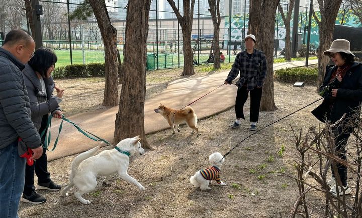 [서울=뉴시스] 반려견과 보호자를 대상으로 올바른 훈련법 교육 모습. 2025.03.20. (사진=노원구 제공) *재판매 및 DB 금지