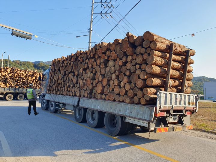 [임실=뉴시스] 전북경찰청은 화물차 적재 불량으로 인한 낙하물 사고 예방을 위해 4주 동안 화물차 특별단속을 실시한다고 20일 밝혔다. 2024년 전북 지역 경찰관이 임실 일대에서 화물차 적재 단속을 진행하고 있는 모습. (사진=전북경찰청 제공) 2025.03.20. photo@newsis.com *재판매 및 DB 금지