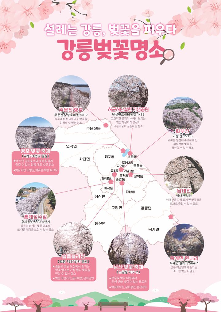 [강릉=뉴시스] 강릉 벚꽃 명소 지도.(사진=강릉시 제고)photo@newsis.com *재판매 및 DB 금지