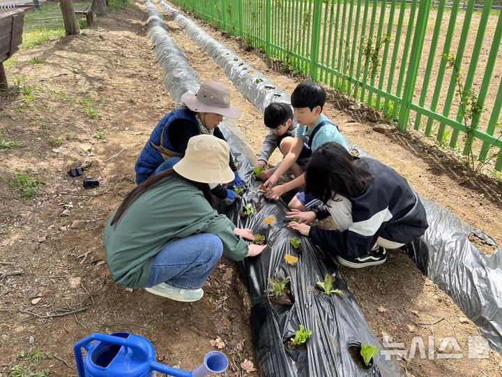 [용인=뉴시스] 생태텃밭 교육 현장. (사진=뉴시스 DB). photo@newsis.com 