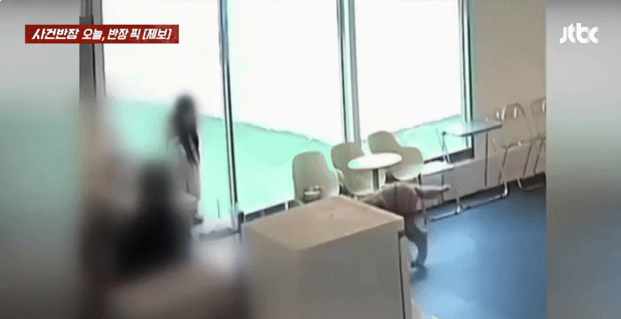 한 여성이 애견 호텔에서 달려오는 대형견과 충돌해 코뼈가 부러졌다. (영상=JTBC '사건반장') *재판매 및 DB 금지