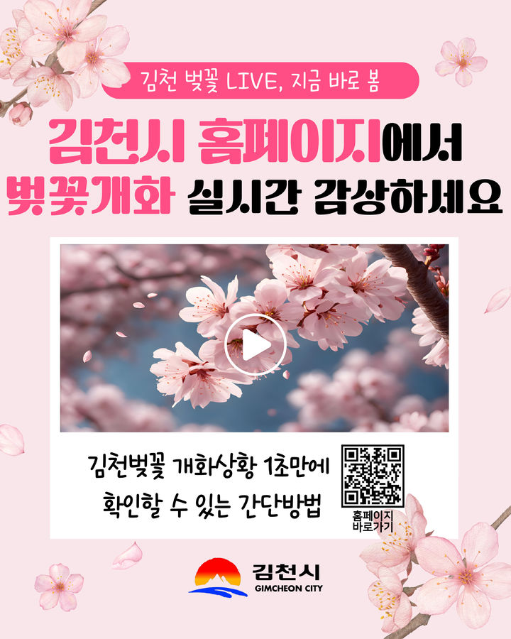 [김천=뉴시스] 벚꽃 개화 실시간 서비스 (사진=김천시 제공) 2025.03.21 photo@newsis.com *재판매 및 DB 금지