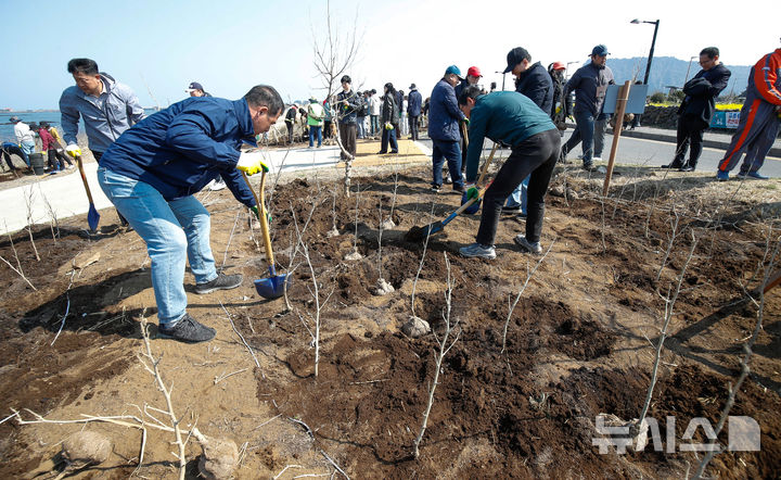 [서귀포=뉴시스] 우장호 기자 = 21일 오전 제주 서귀포시 성산읍 광치기해변 인근에서 제80회 식목일을 앞두고 열린 '탄소중립 실현, 전국 최초 자생 맹그로브 미래를 심다' 행사에서 '제주 2035 탄소중립' 목표를 상징하는 의미로 2035그루의 황근 심기가 진행되고 있다.제주도는 세미맹그로브 연구 추진협의체 구성·운영을 통해 올해부터 2029년까지 5년간 총사업비 45억 원을 투입해 황근 등 제주 자생 세미맹그로브 숲 140㏊를 조성할 계획이다. 2025.03.21. woo1223@newsis.com