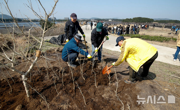 [서귀포=뉴시스] 우장호 기자 = 21일 오전 제주 서귀포시 성산읍 광치기해변 인근에서 제80회 식목일을 앞두고 열린 '탄소중립 실현, 전국 최초 자생 맹그로브 미래를 심다' 행사에서 '제주 2035 탄소중립' 목표를 상징하는 의미로 2035그루의 황근 심기가 진행되고 있다.제주도는 세미맹그로브 연구 추진협의체 구성·운영을 통해 올해부터 2029년까지 5년간 총사업비 45억 원을 투입해 황근 등 제주 자생 세미맹그로브 숲 140㏊를 조성할 계획이다. 2025.03.21. woo1223@newsis.com
