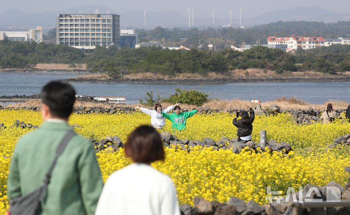 [서귀포=뉴시스] 우장호 기자 = 완연한 봄날씨를 보인 21일 오전 제주 서귀포시 성산읍 성산일출봉 광치기해변 인근에 조성된 유채꽃밭에 상춘객이 찾아와 즐거운 시간을 보내고 있다.기상청에 따르면 꽃샘추위가 물러간 제주 지역은 당분간 낮 기온이 21도 내외로 오르며 포근한 날씨를 나타낼 것으로 전망된다. 2025.03.21. woo1223@newsis.com