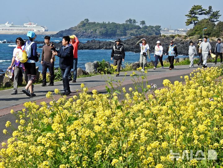 [제주=뉴시스] 오영재 기자 = 20도 안팎에 봄 날씨를 보인 22일 오전 제주 서귀포시 법환동 두머니물 공원에서 제27회 서귀포 유채꽃 국제걷기대회 참가자들이 코스를 걷고 있다. 2025.03.22. oyj4343@newsis.com 
