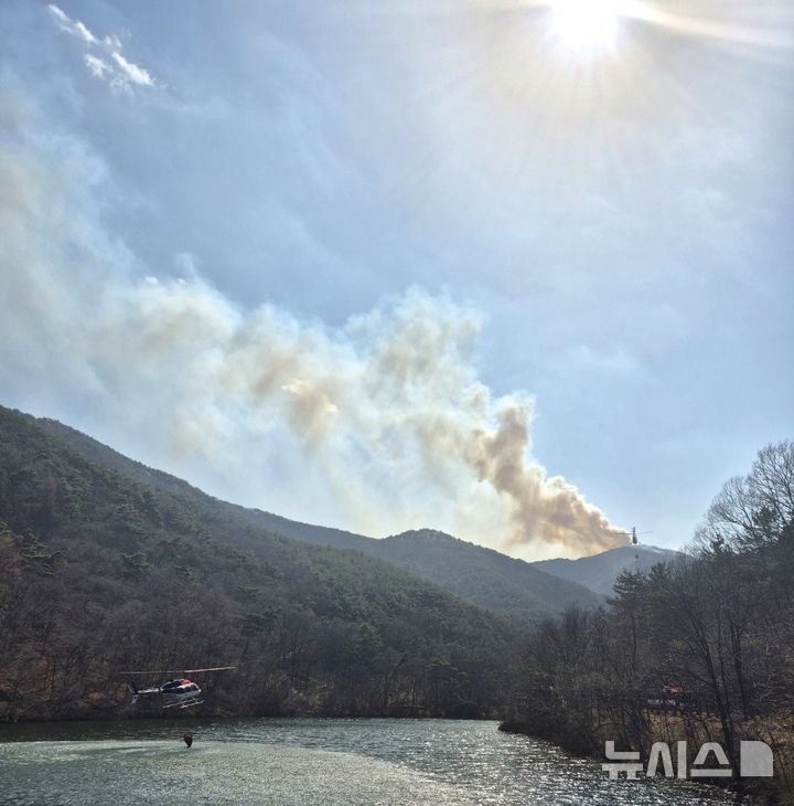 [대구=뉴시스] 대구 수성구 욱수동 병풍산 화재 현장. (사진=소방당국 제공) 2025.03.22. photo@newsis.com 