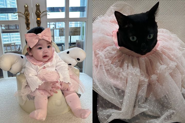 [서울=뉴시스] 박수홍 딸 재이(왼쪽)·박수홍 반려묘 (사진=인스타그램 캡처) 2025.03.24. photo@newsis.com *재판매 및 DB 금지