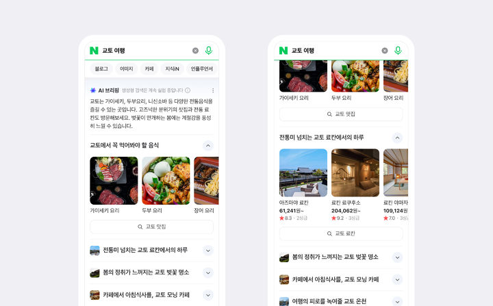 [서울=뉴시스] 네이버 인공지능(AI) 기반 검색 결과 요약 서비스 'AI 브리핑' (사진=네이버 제공) *재판매 및 DB 금지