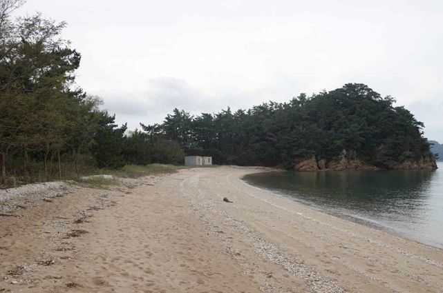 [서울=뉴시스] 주민들이 유해를 목격했다는 고파도 모래사장 전경. (사진=국방부 제공) 2025.03.24. photo@newsis.com *재판매 및 DB 금지