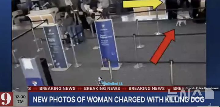 [서울=뉴시스](사진=프리프레스저널)