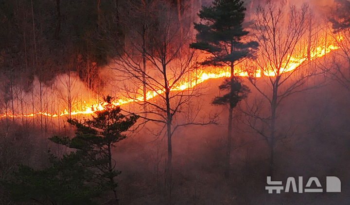 [산청=뉴시스] 차용현 기자 = 경남 산청군에서 발생한 대형 산불이 4일째로 접어든 24일 오전 산청군 단성면 산기슭에 산불이 이어지고 있다. 2025.03.24. con@newsis.com