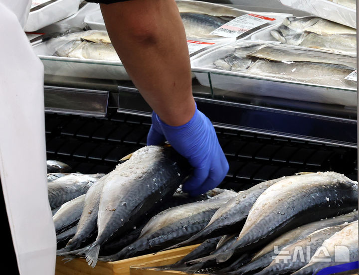 [서울=뉴시스] 박주성 기자 = 24일 식약처에 따르면 히스타민은 두드러기, 가려움 식품 단백질 알레르기와 비슷한 증상을 나타내거나 부패한 어류 등의 섭취로 인한 고등어 중독증(scombrotoxicosis)를 유발한다. 지난해 3월 24일 오전 서울의 한 대형마트에서 직원이 고등어를 진열하고 있다. (사진은 기사와 관련이 없습니다.) 2025.03.24. park7691@newsis.com