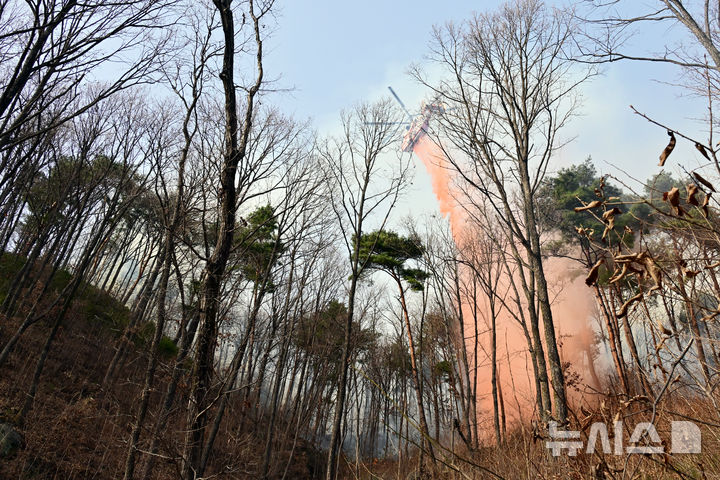 [산청=뉴시스] 차용현 기자 = 경남 산청군에서 발생한 대형 산불이 4일째로 접어든 24일 오후 산불진화헬기가 산불지연제를 뿌리고 있다. 2025.03.24. con@newsis.com