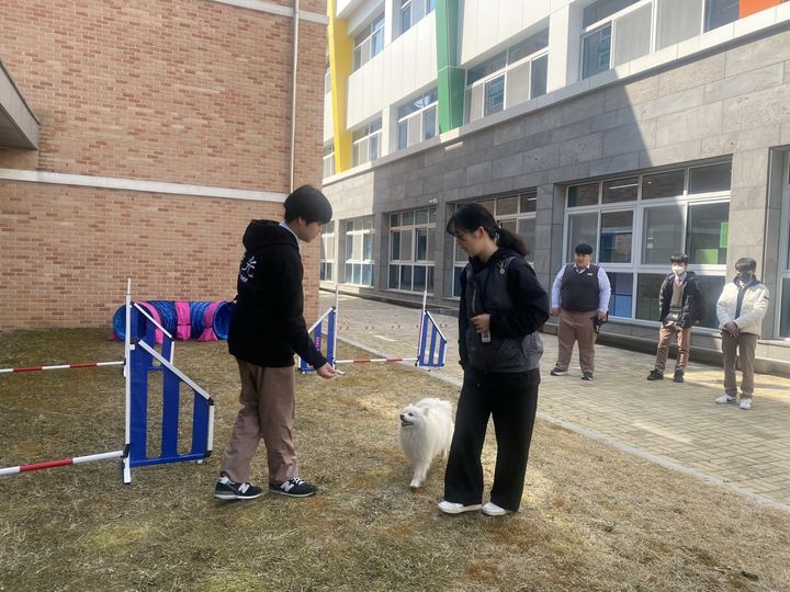 충북진로교육원 자유체험마을 반려동물전문가 과정에 참가한 학생들이 체험활동을 하고 있다. *재판매 및 DB 금지