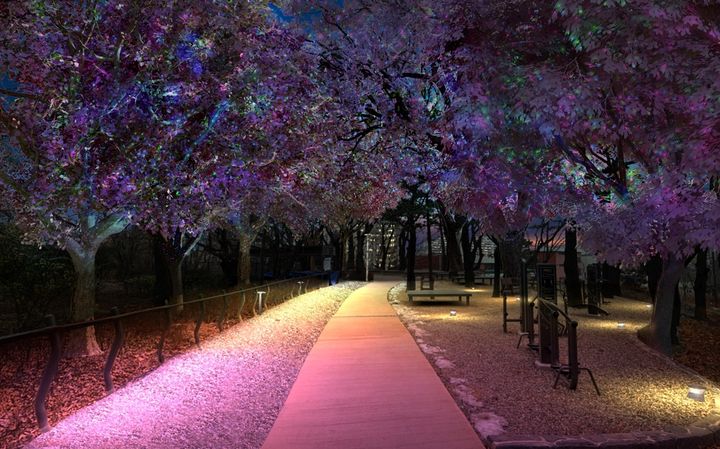 [서울=뉴시스] 수국동산 야간경관 개선 조감도. 2025.03.25. (사진=노원구 제공) *재판매 및 DB 금지