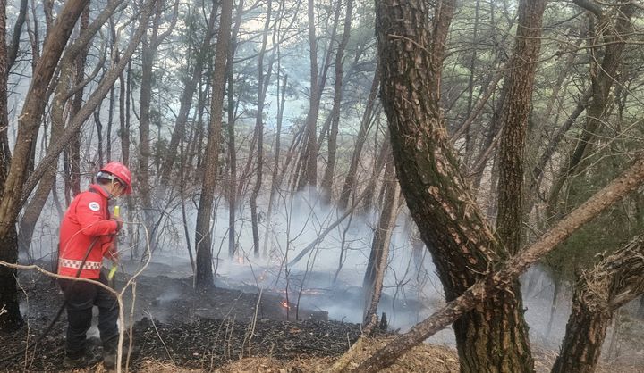 [진주=뉴시스]진주시 수곡면 산불 잔불 정리중.(사진=진주시 제공).2025.03.25.photo@newsis.com *재판매 및 DB 금지