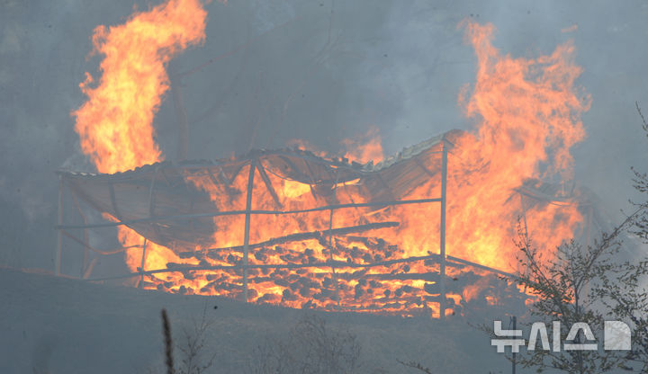 [울산=뉴시스] 배병수 기자 =25일 오후 울산시 울주군 언양읍 화장산 일원에서 원인 미상의 화재가 발생해 농막이 불타고 있다. 2025.03.25.bbs@newsis.com.