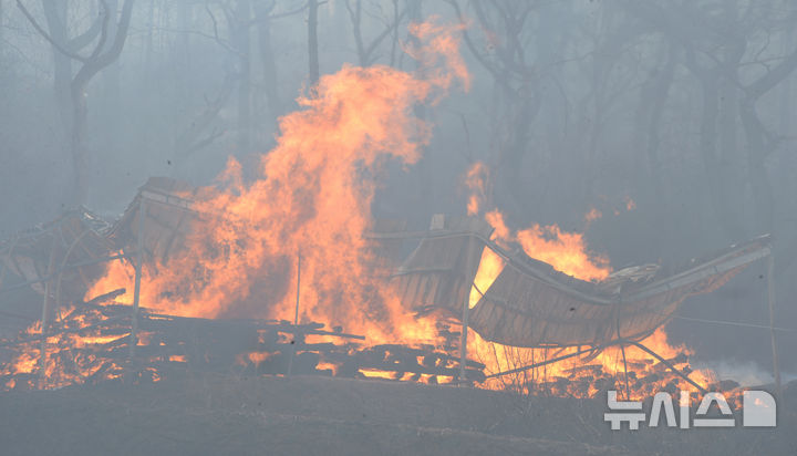 [울산=뉴시스] 배병수 기자 =25일 오후 울산시 울주군 언양읍 화장산 일원에서 원인 미상의 화재가 발생해 농막이 불타고 있다. 2025.03.25.bbs@newsis.com.