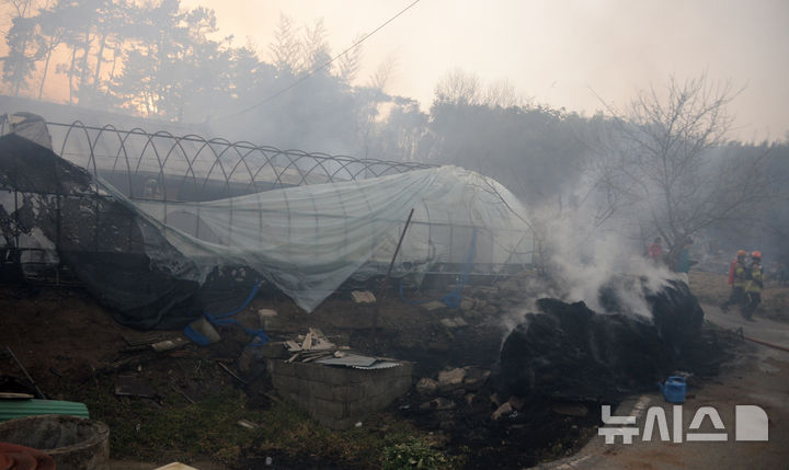 [정읍=뉴시스] 김얼 기자 = 25일 전북 정읍시 소성면에서 발생한 산불이 인근 마을까지 번지자 소방관들이 화재를 진압하고 있다. 2025.03.25. pmkeul@newsis.com