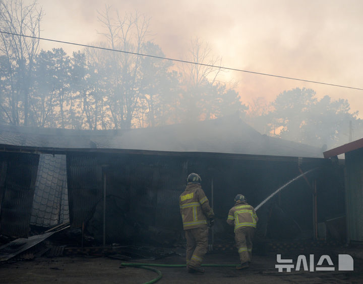 [정읍=뉴시스] 김얼 기자 = 25일 전북 정읍시 소성면에서 발생한 산불이 인근 마을까지 번지자 소방관들이 화재를 진압하고 있다. 2025.03.25. pmkeul@newsis.com