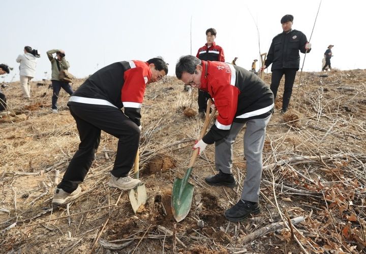 [강릉=뉴시스] 김홍규 강릉시장(오른쪽)이 제80회 식목일을 맞아 경포산불 피해지에서 나무를 심고 있다.(사진=강릉시 제공)photo@newsis.com *재판매 및 DB 금지