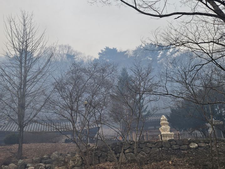  [의성=뉴시스] 의성산불에서 살아 남은 고운사 삼층석탑(보물)이 방염포로 둘러쌓여 있다. 2025.03.26. (사진=독자 제공) photo@newsis.com *재판매 및 DB 금지