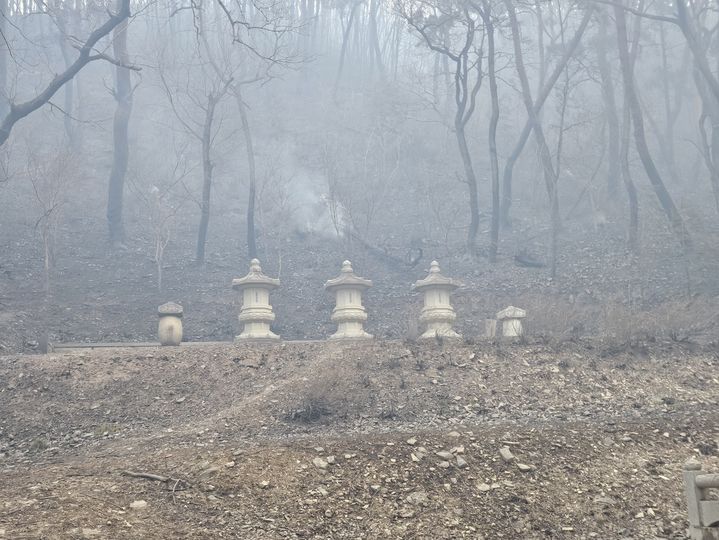 [의성=뉴시스] 의성산불에서 살아 남은 고운사 사리탑. 2025.03.26. (사진=독자 제공) photo@newsis.com *재판매 및 DB 금지