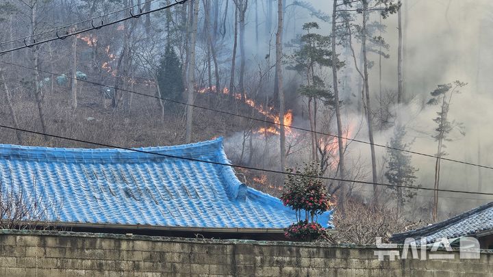 ·[울산=뉴시스]배병수 기자 = 울산시 울주군 온양읍 산불이 발생한지 닷새째인 26일 오후 시뻘건 불길이 민가를 덮칠듯 치솟고 있다. 2025.03.26.bbs@newsis.com 