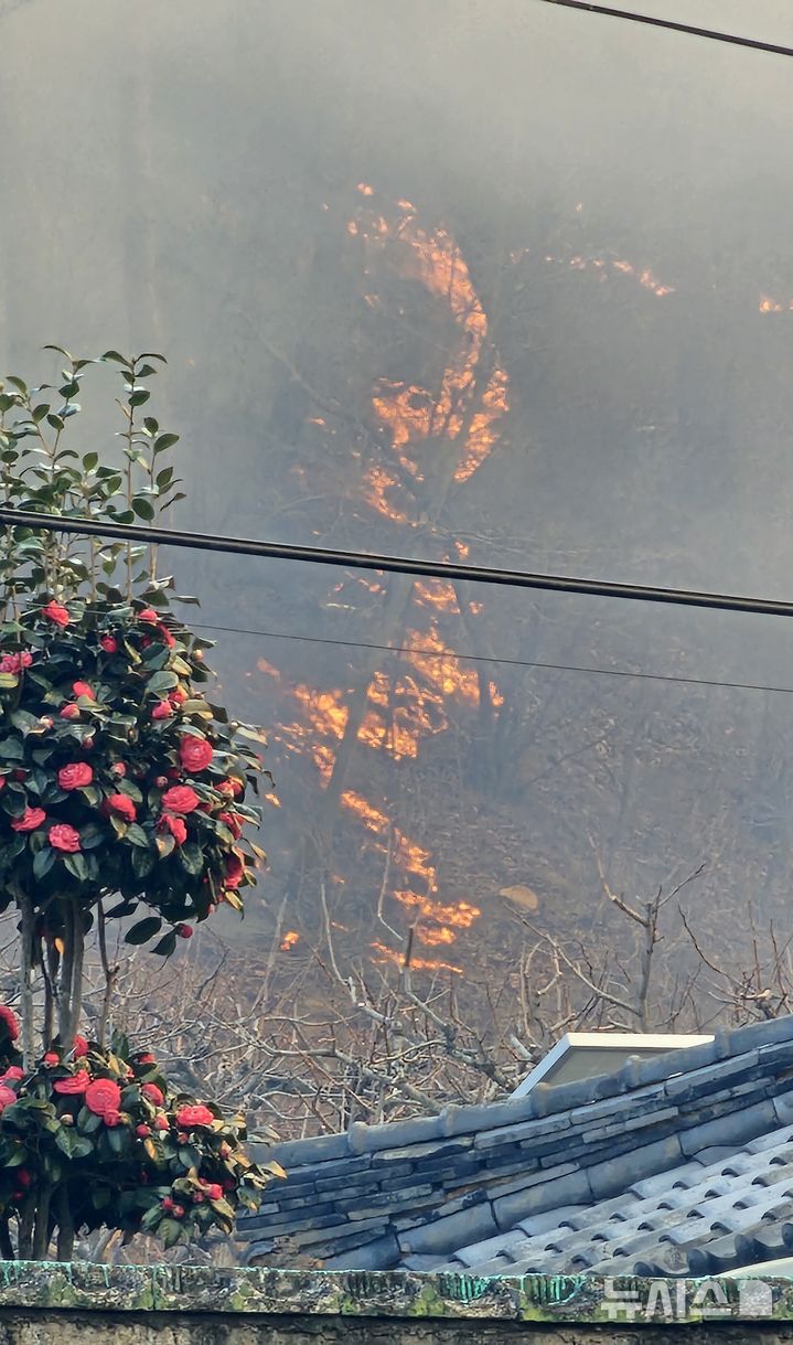 ·[울산=뉴시스]배병수 기자 = 울산시 울주군 온양읍 산불이 발생한지 닷새째인 26일 오후 시뻘건 불길이 민가를 덮칠듯 치솟고 있다. 2025.03.26.bbs@newsis.com 