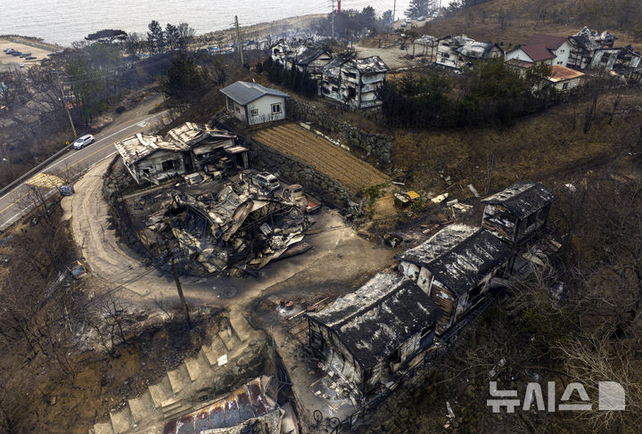 [영덕=뉴시스] 이무열 기자 = 26일 경북 영덕군 영덕읍 노물리 마을이 산불로 전소돼 폐허가 되어 있다. 2025.03.26. lmy@newsis.com