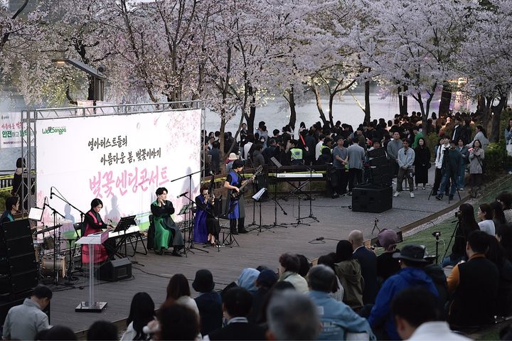 [서울=뉴시스] 지난해 열린 벚꽃엔딩 콘서트. 2025.03.27 (사진 제공=송파구청) photo@newsis.com *재판매 및 DB 금지
